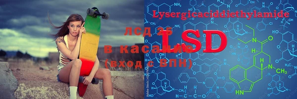 индика Абаза