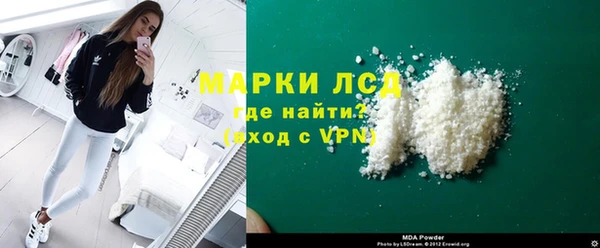 индика Абаза