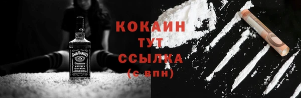 индика Абаза