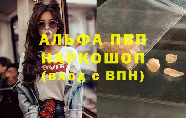 индика Абаза