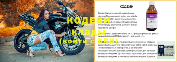 индика Абаза