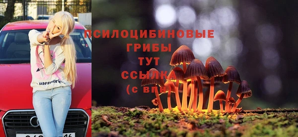 индика Абаза
