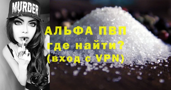 индика Абаза