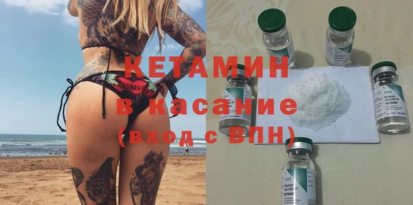 индика Абаза