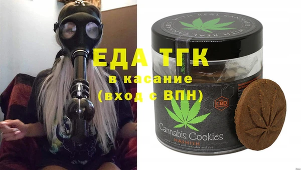 индика Абаза
